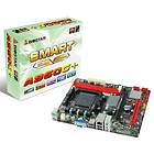 Biostar A960G+