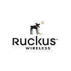 Ruckus Wireless RPS15-E 250W