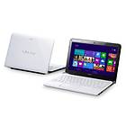 Sony Vaio SVE1113M1E