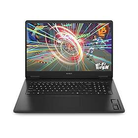 HP OMEN 17-db0193ng 17,3" Ryzen 9 8945HS 32GB RAM 1TB SSD RTX 4060