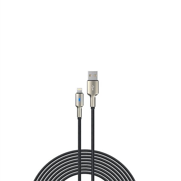 Laddare till iPhone 1,5 m