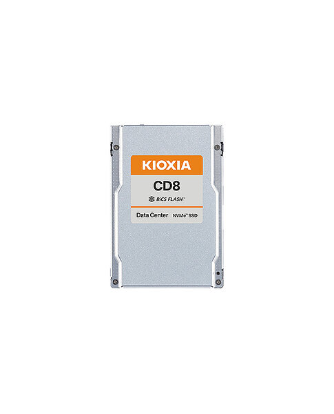 Kioxia X134 CD8-R dSDD 3.8TB