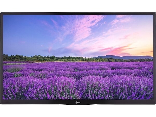 LG 24" LED Smart TV - 24LN662VBLB