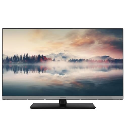 Panasonic 24" HD LED Smart TV