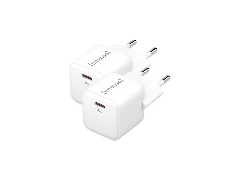 Intenso 7803032 20W