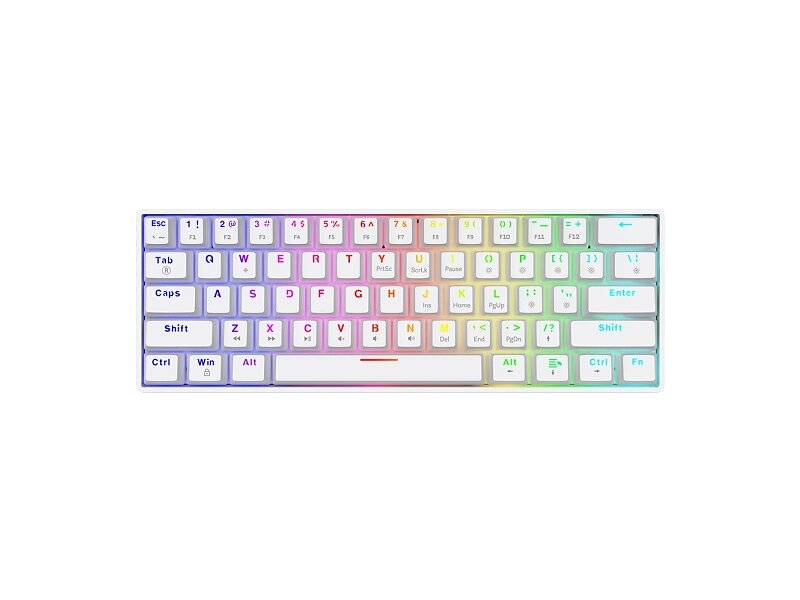 Savio Whiteout X2 Kabel QWERTY RGB LED Mekaniskt Tangentbord (EN)