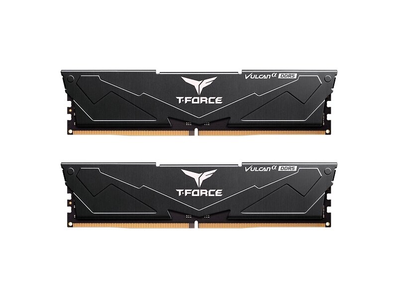 Team Group Elite Plus DDR5 4800MHz 2x8GB (FLABD516G6000HC3001)