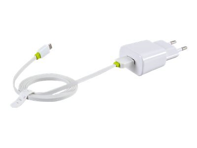 iBOX C-31 ILUC31W Väggladdare med Micro-USB-kabel 10W