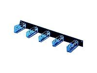 Rittal Cable Management Panel 1U