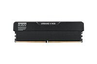 Klevv Urbane V Svart SO-DIMM DDR5 6000MHz 2x16GB (KD5AGUA80-60B280V)
