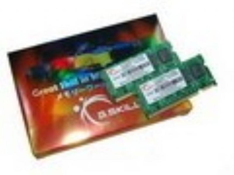 G.Skill SA SO-DIMM DDR2 667MHz 2x1GB (F2-5300CL4D-2GBSA)