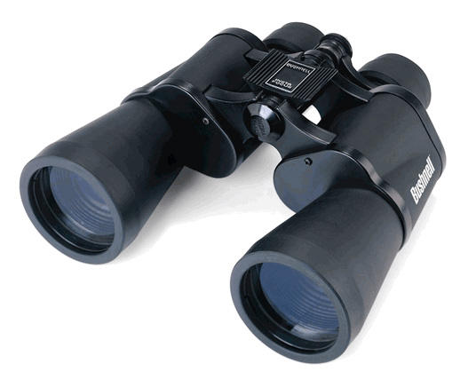 Bushnell Falcon 10x50