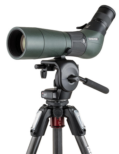 Swarovski Optik ATS 65 25-50x65 Med Stativ