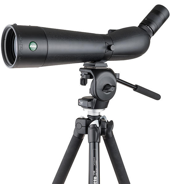 Olivon T-800 20-60x80 Med Stativ