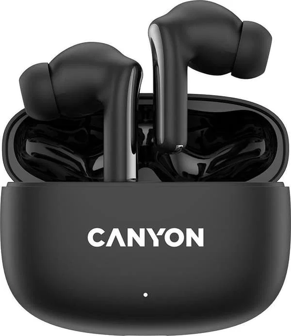 Canyon CNS-TWS9G