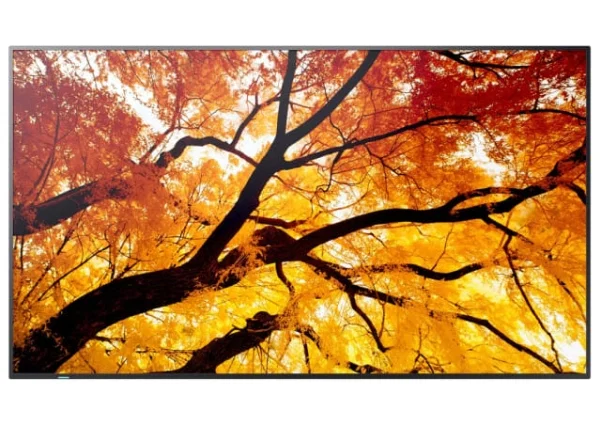 Sharp MultiSync PN-M982 97.5" 4K 60Hz IPS
