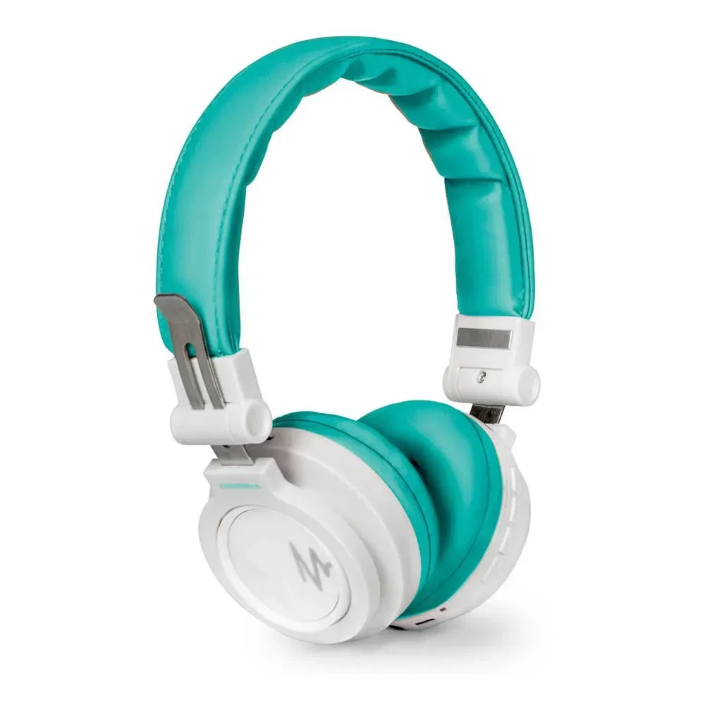 Magnussen Hb1000301