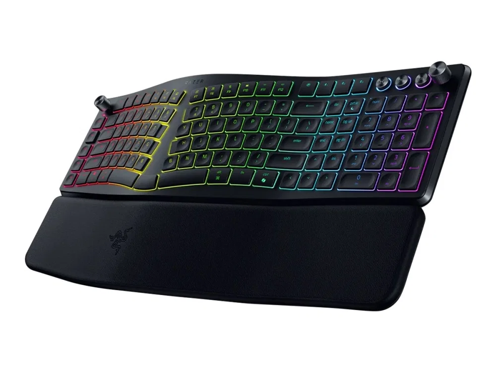 Razer Pro Type Ergo (US)