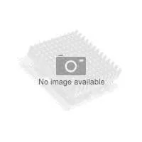 HP Xeon E7-4870 2.4GHz Socket LGA1567